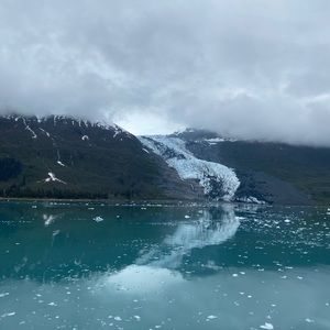 Meet your Posher, Nina